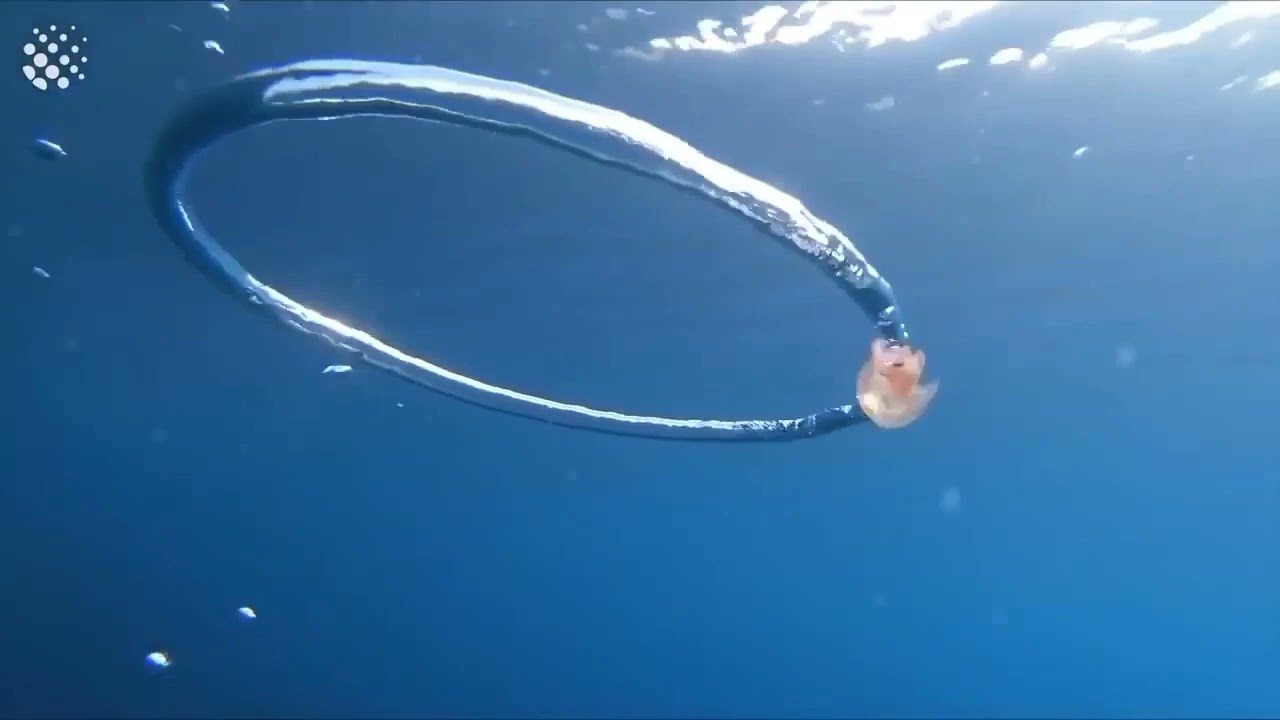 la mama de la mama slowed