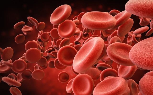 mchc в анализе крови что это