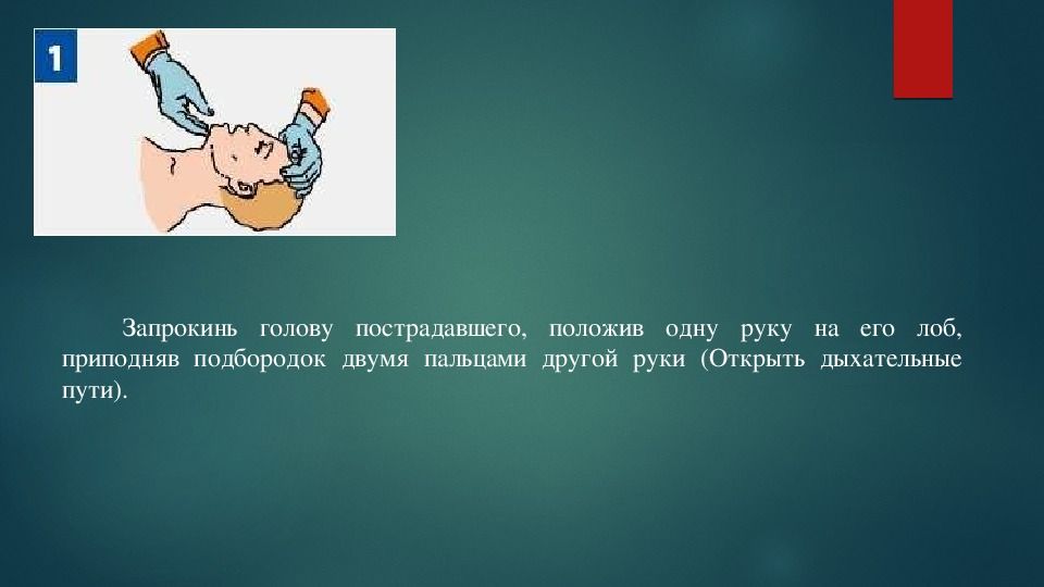 алгоритм проведения сердечно легочной реанимации