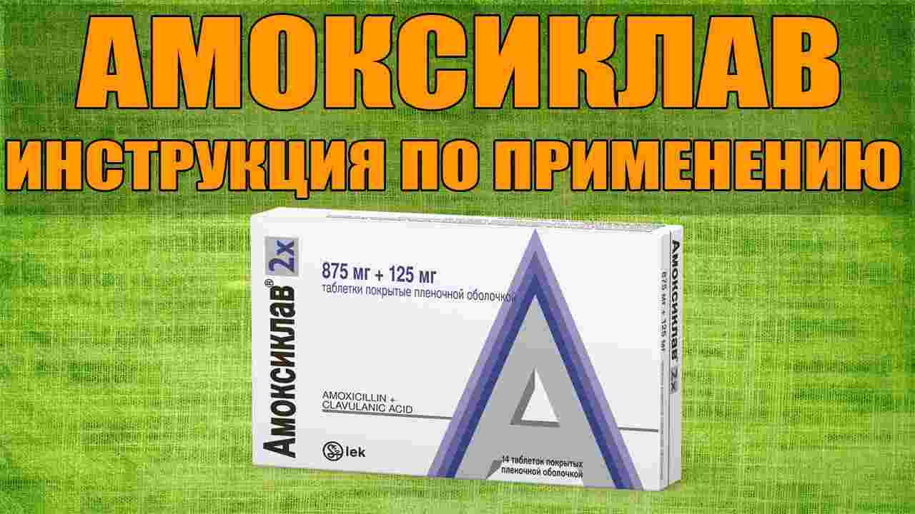 амоксиклав инструкция по применению цена отзывы аналоги