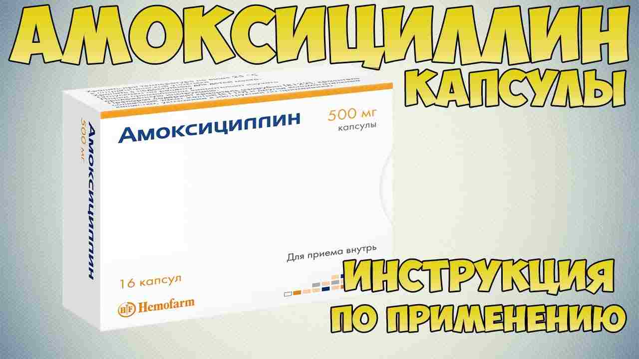 амоксициллин при бронхите у взрослых дозировка