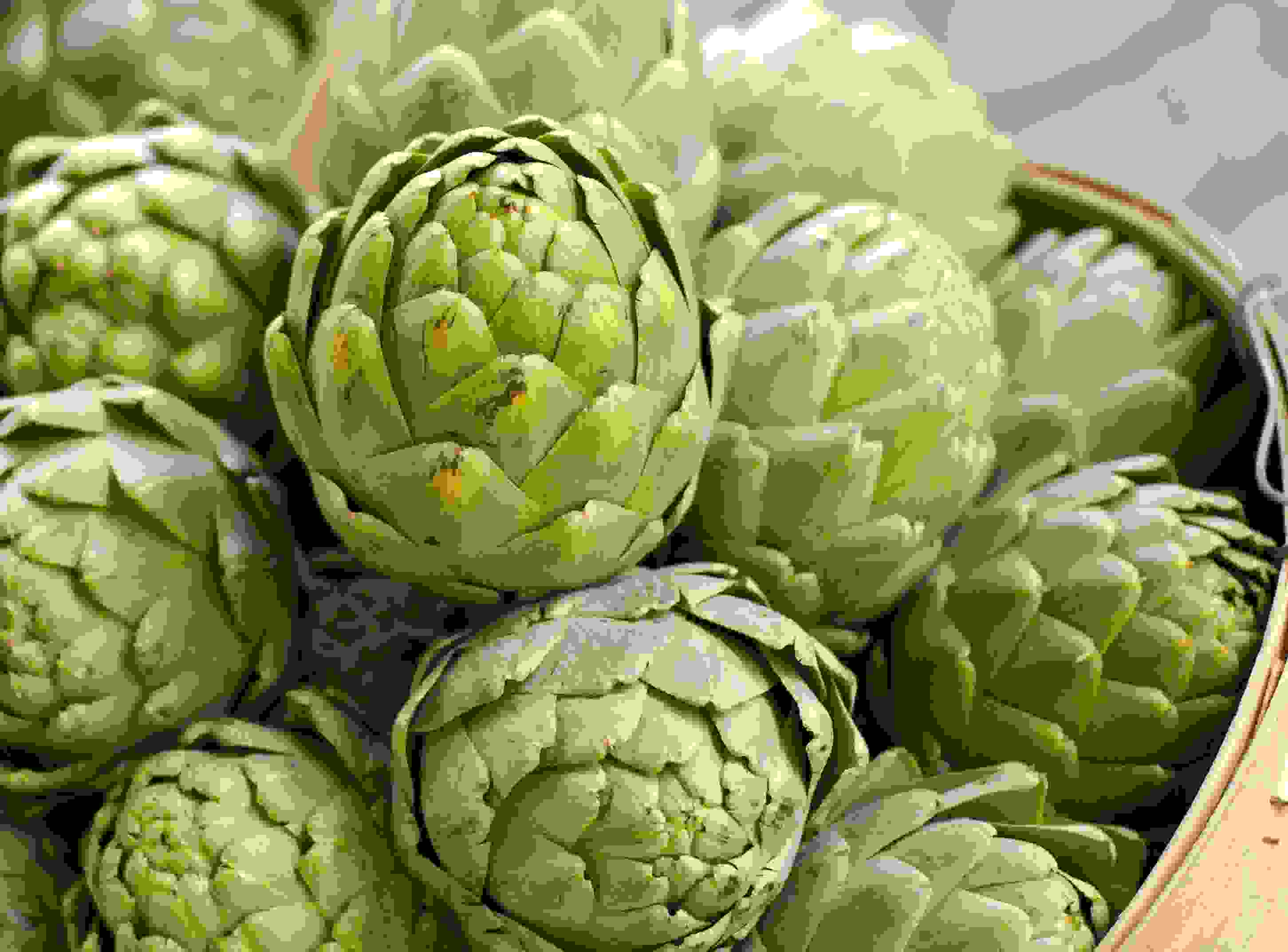 артишок капсулы инструкция по применению цена