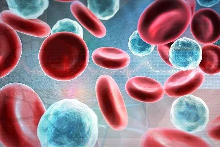 базофилы что это такое в анализе крови