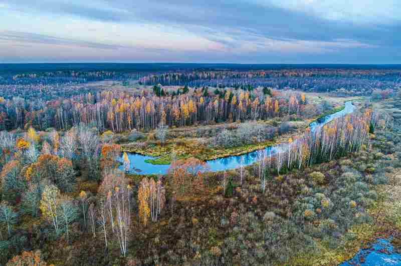 биосферные заповедники отличаются от остальных тем что