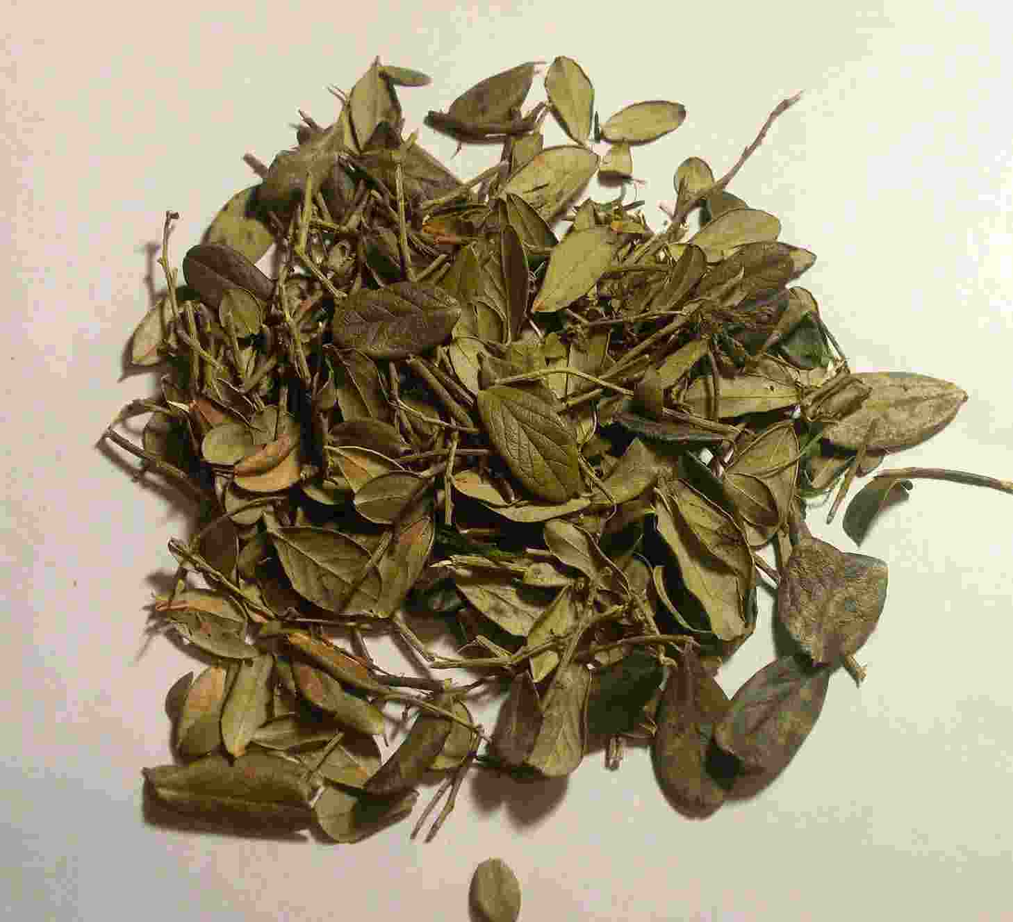 брусничный лист инструкция по применению отзывы цена