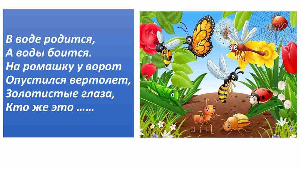 в воде родится а воды боится