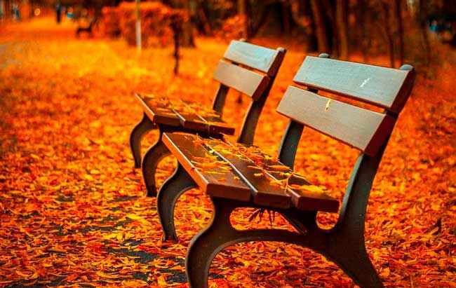 в тот год осенняя погода