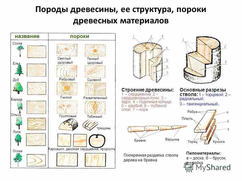 виды и свойства конструкционных материалов древесина