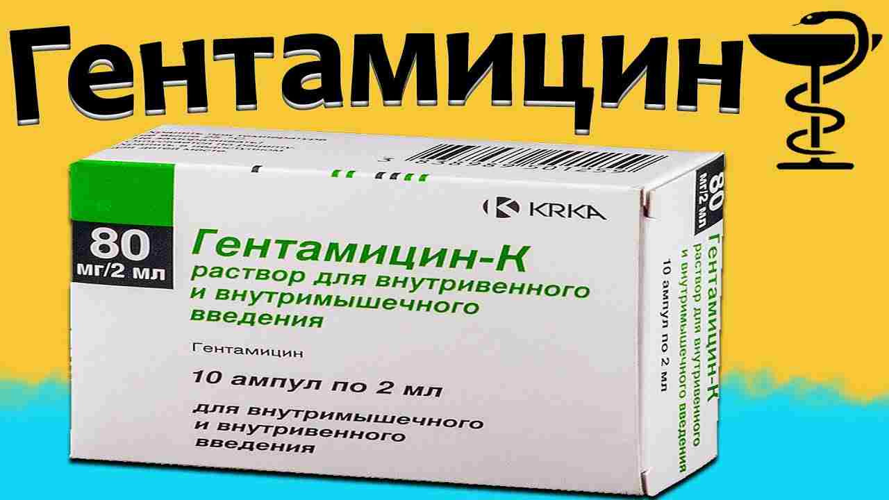 гентомицин в ампулах инструкция по применению цена
