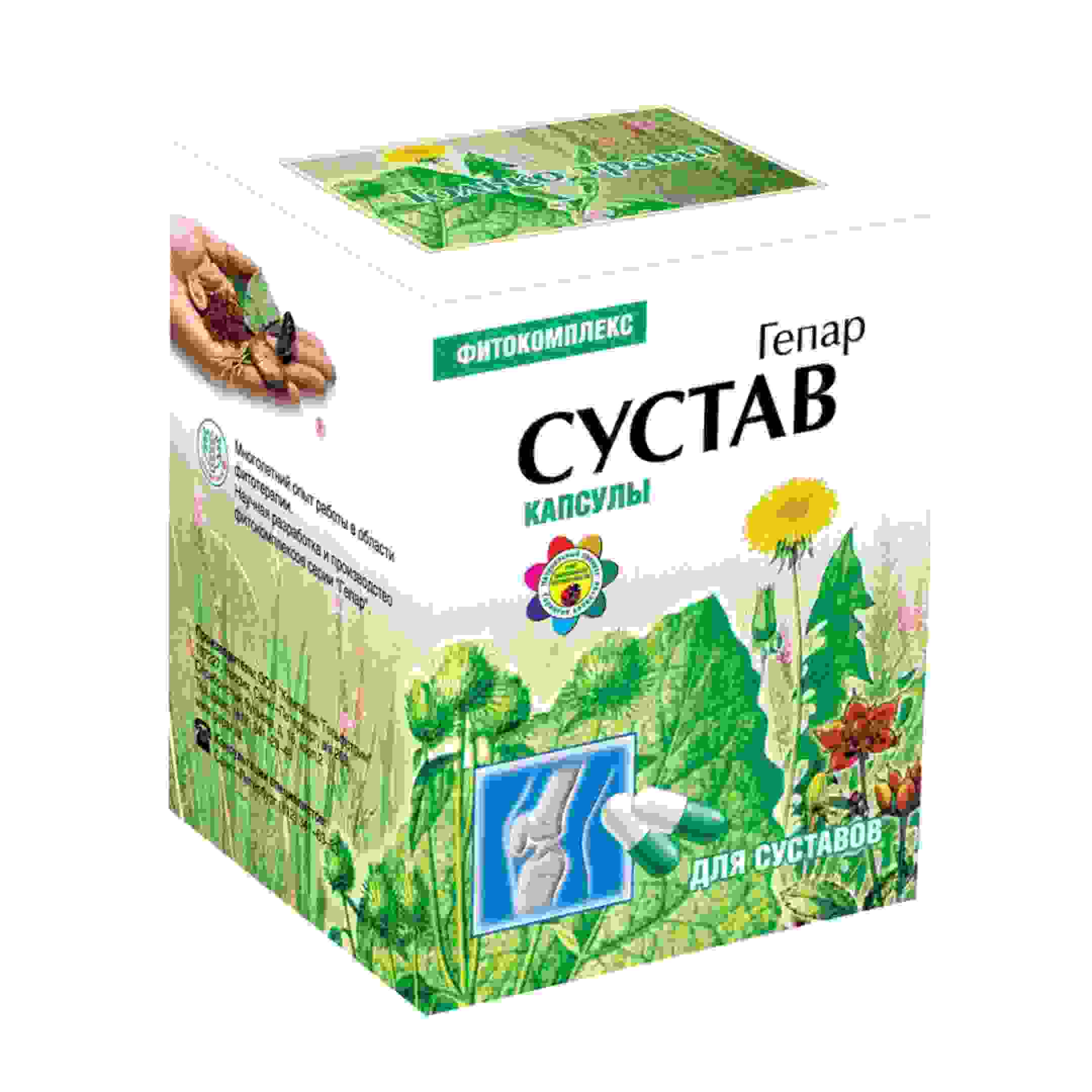 гепар композитум инструкция по применению цена отзывы