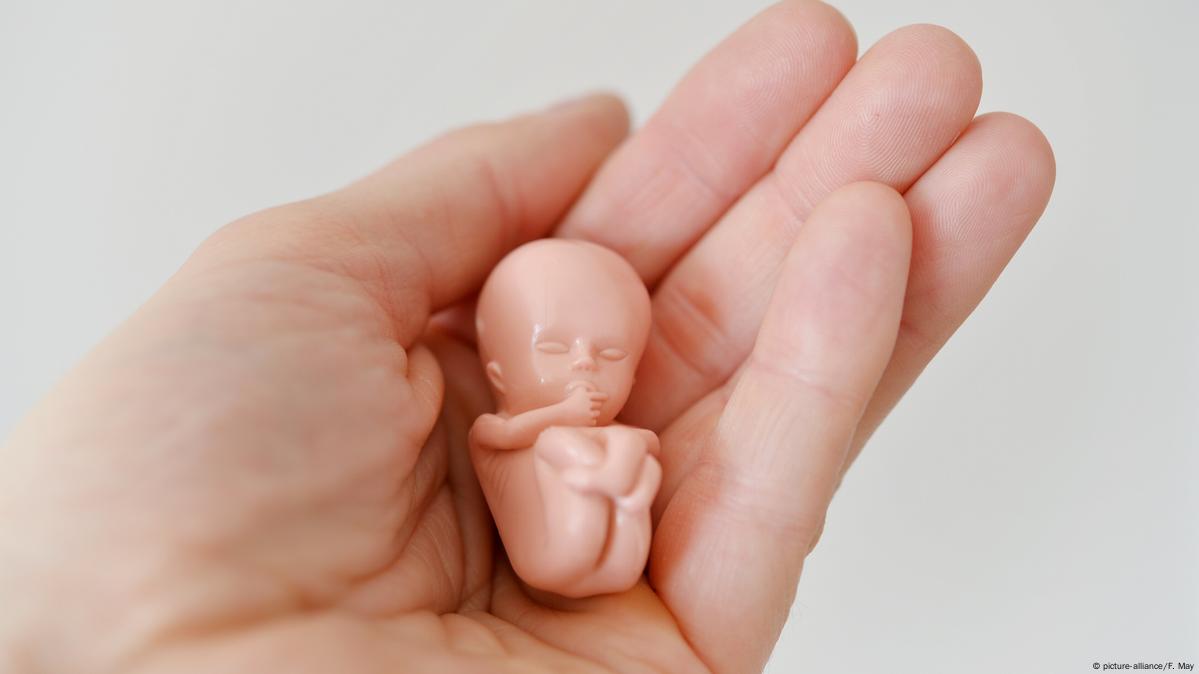 до скольки недель делают аборт