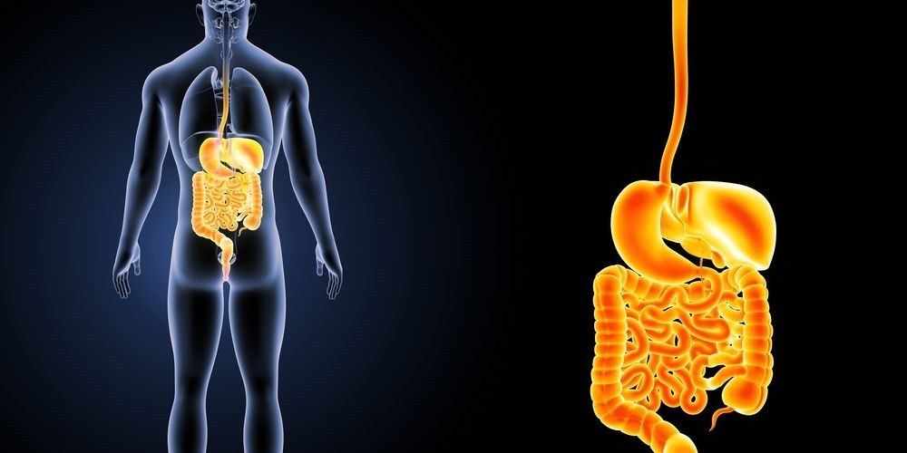 запоры у взрослых причины и лечение