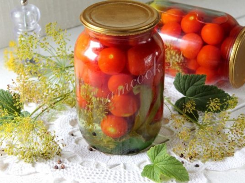 засолка помидоров в кастрюле холодным способом