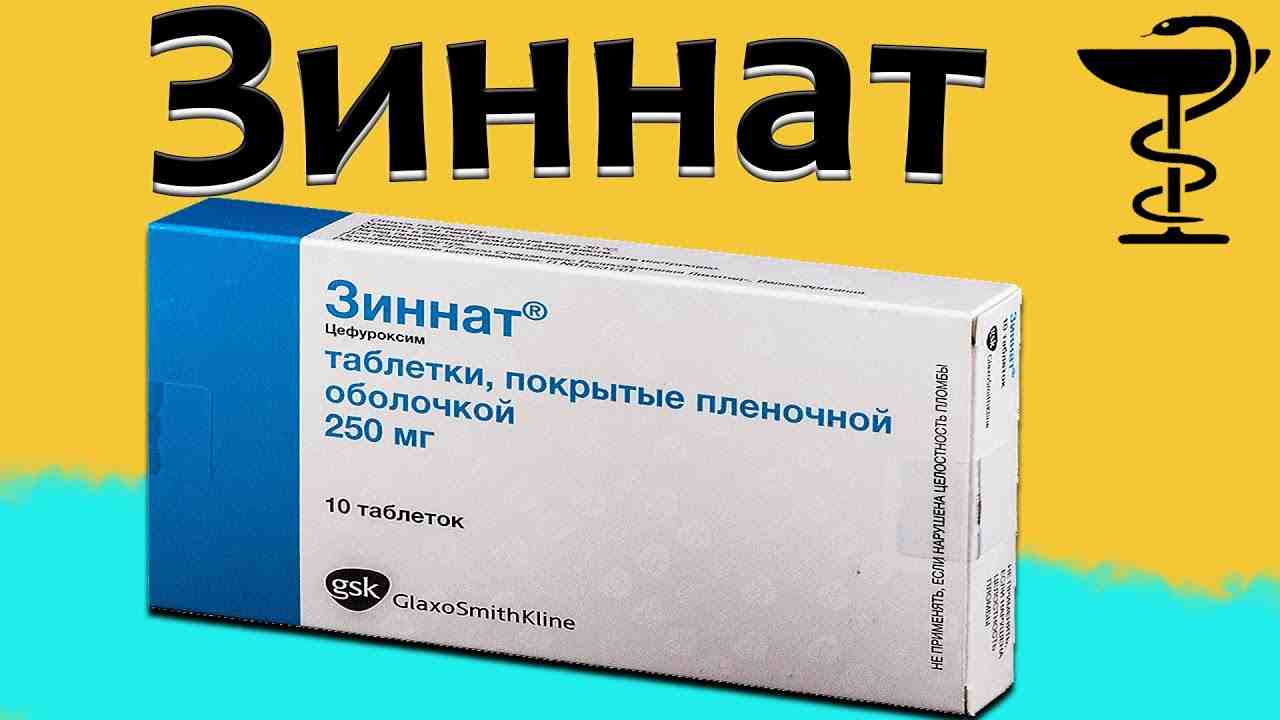 зинат инструкция по применению цена