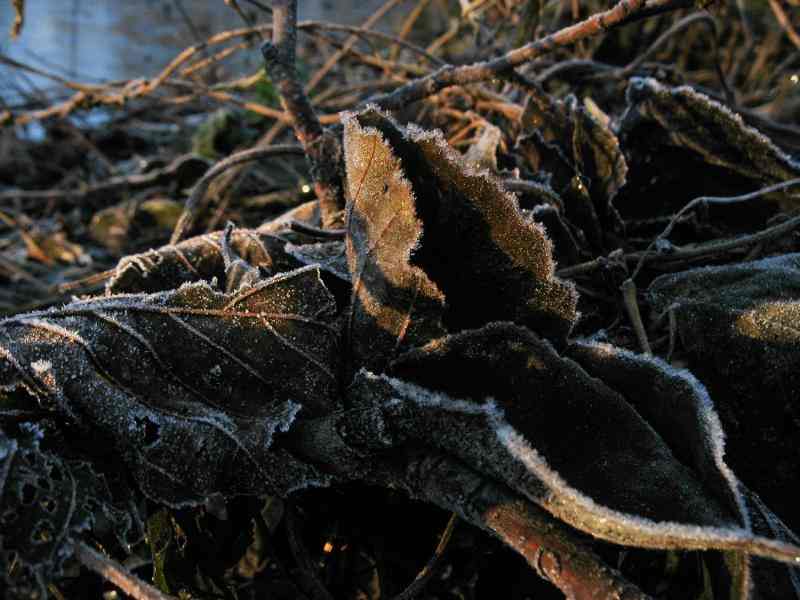 к химическим явлениям относится процесс