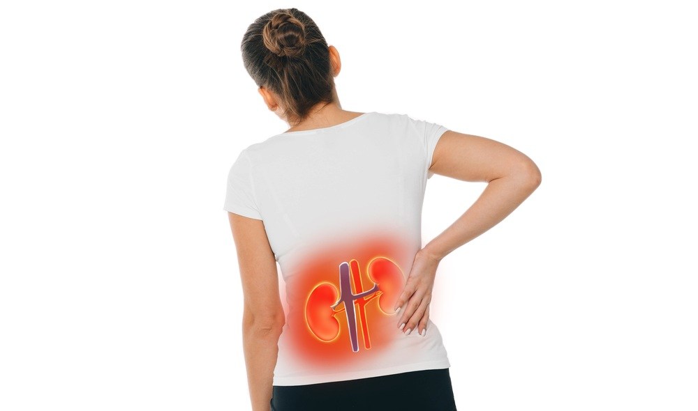 как определить болят почки или поясница