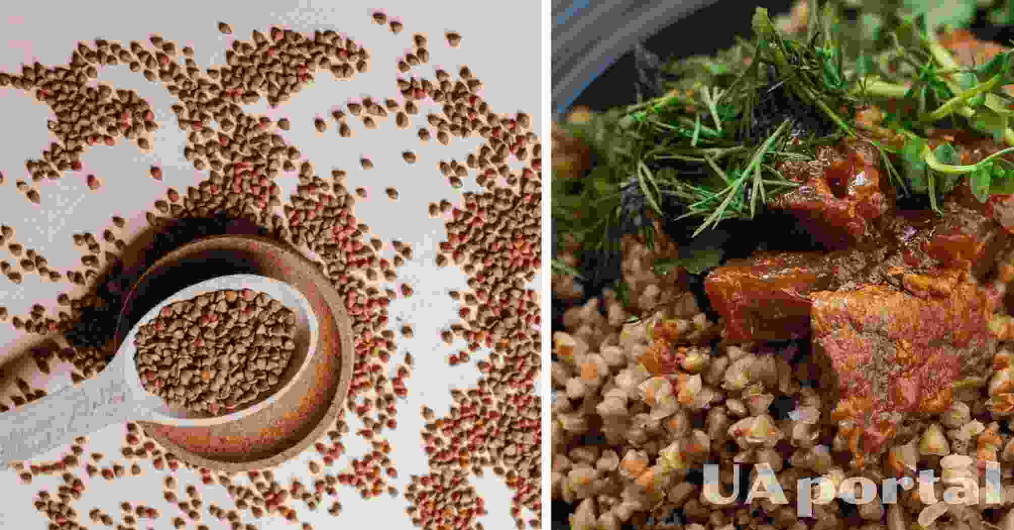 как правильно варить гречневую кашу