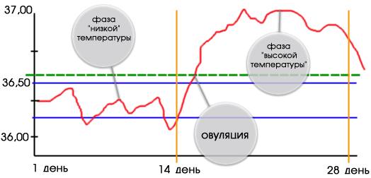 какая должна быть базальная температура