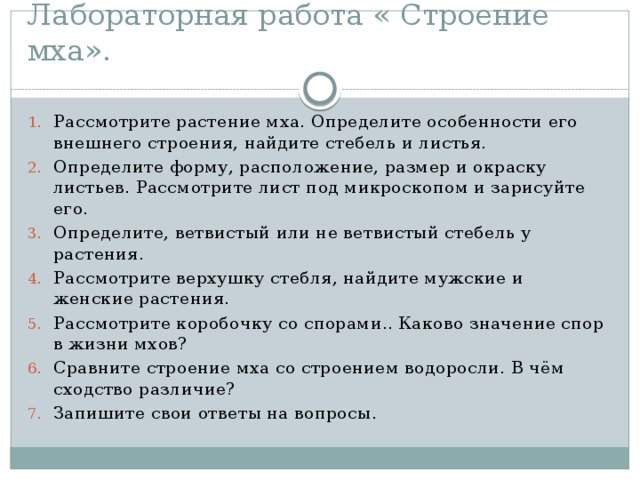 каково значение спор в жизни мхов