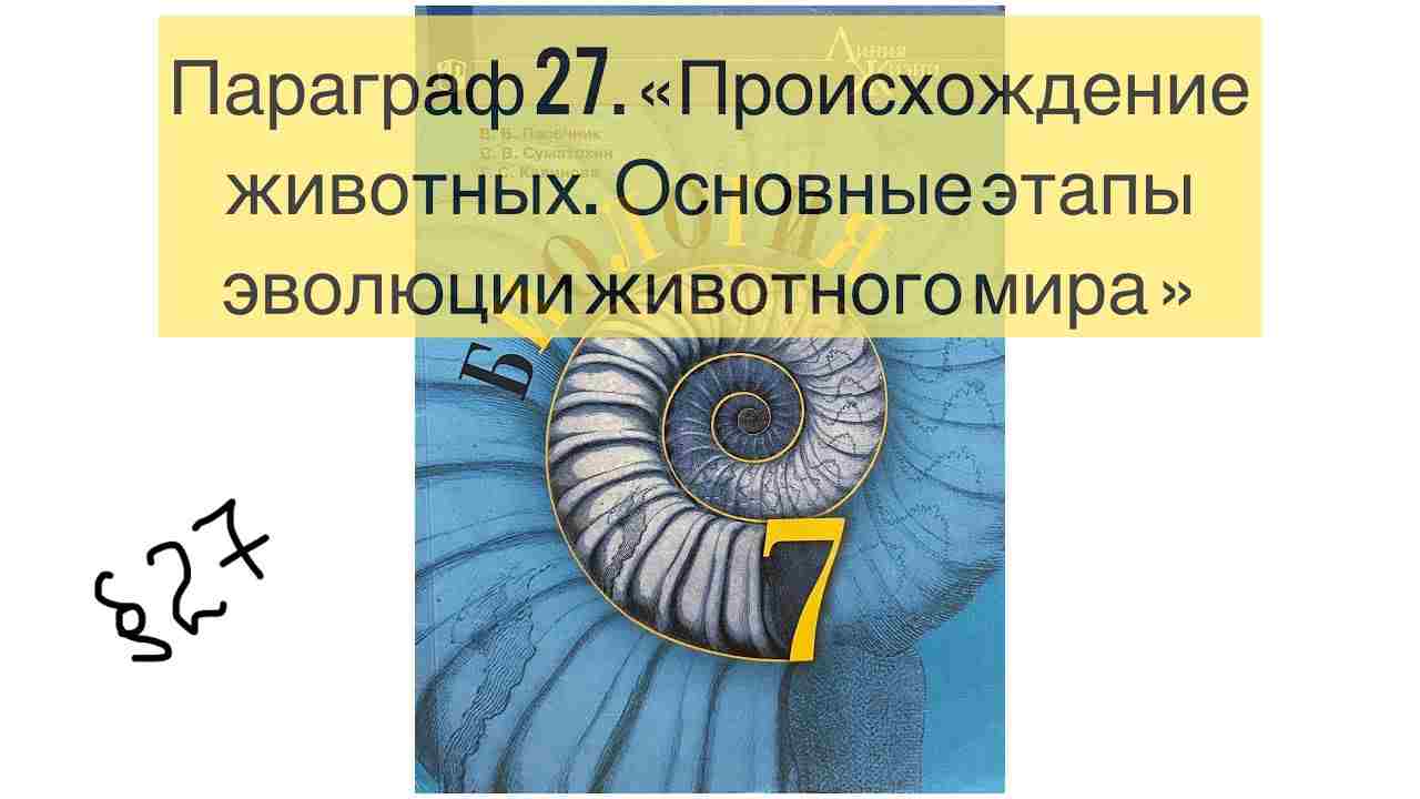 каковы причины образования течений 7 класс
