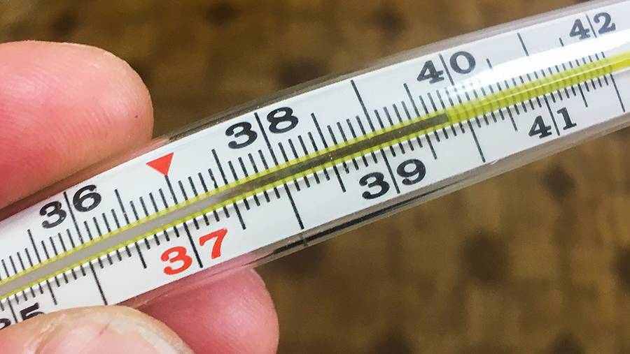 какой должна быть температура на улице