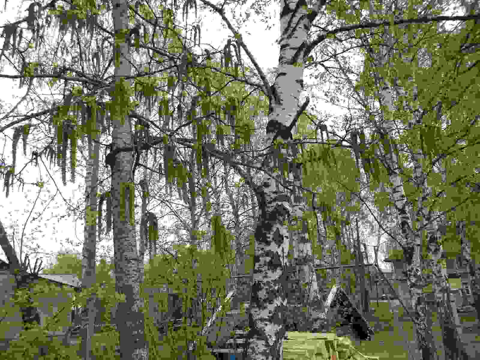 какую жизненную цель можно назвать благородной аргументы