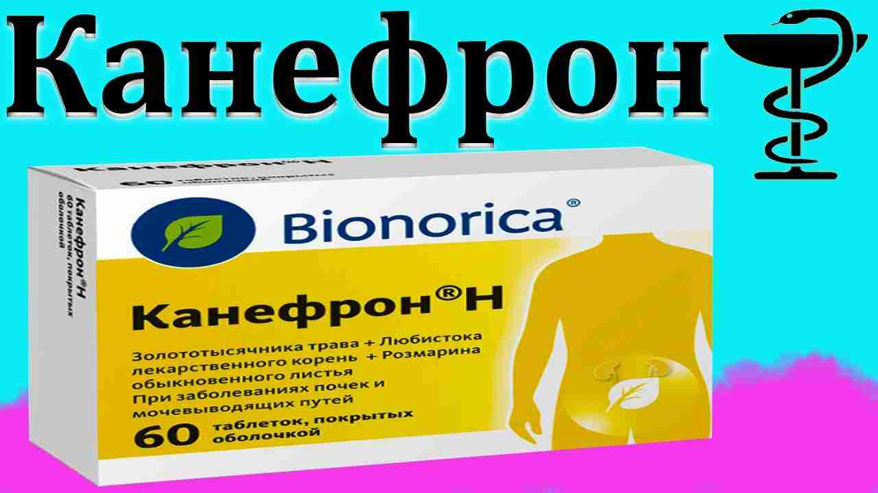 канефрон аналоги и цена инструкция по применению