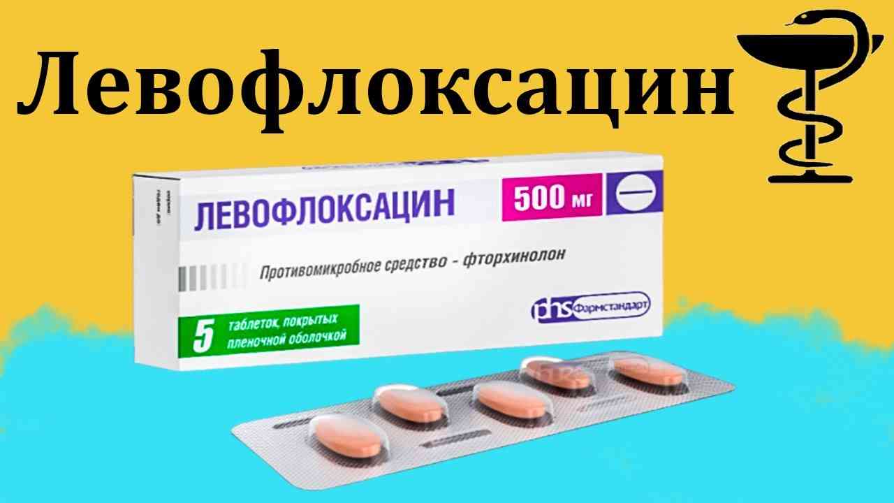 левофлоксацин инструкция по применению цена