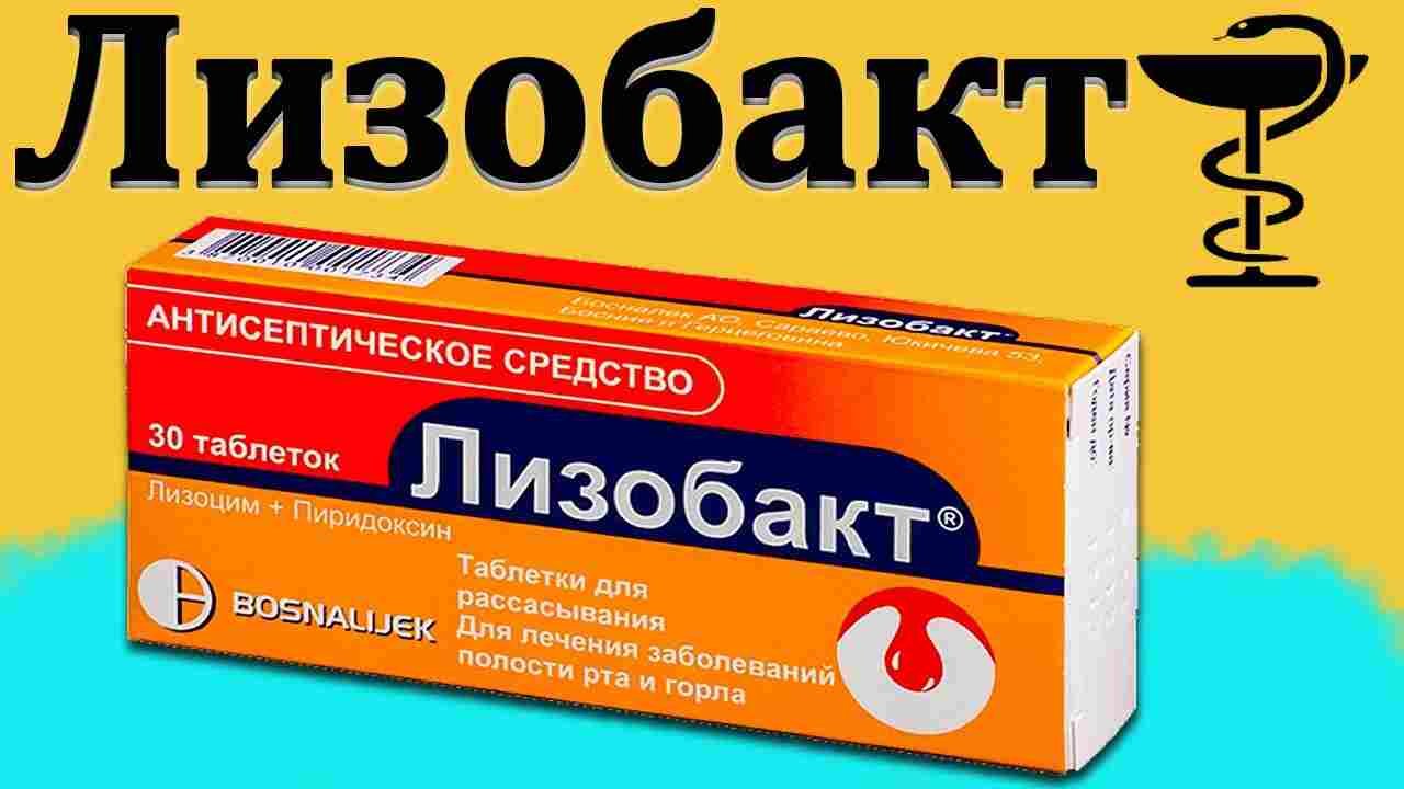 лизобакт инструкция по применению цена отзывы