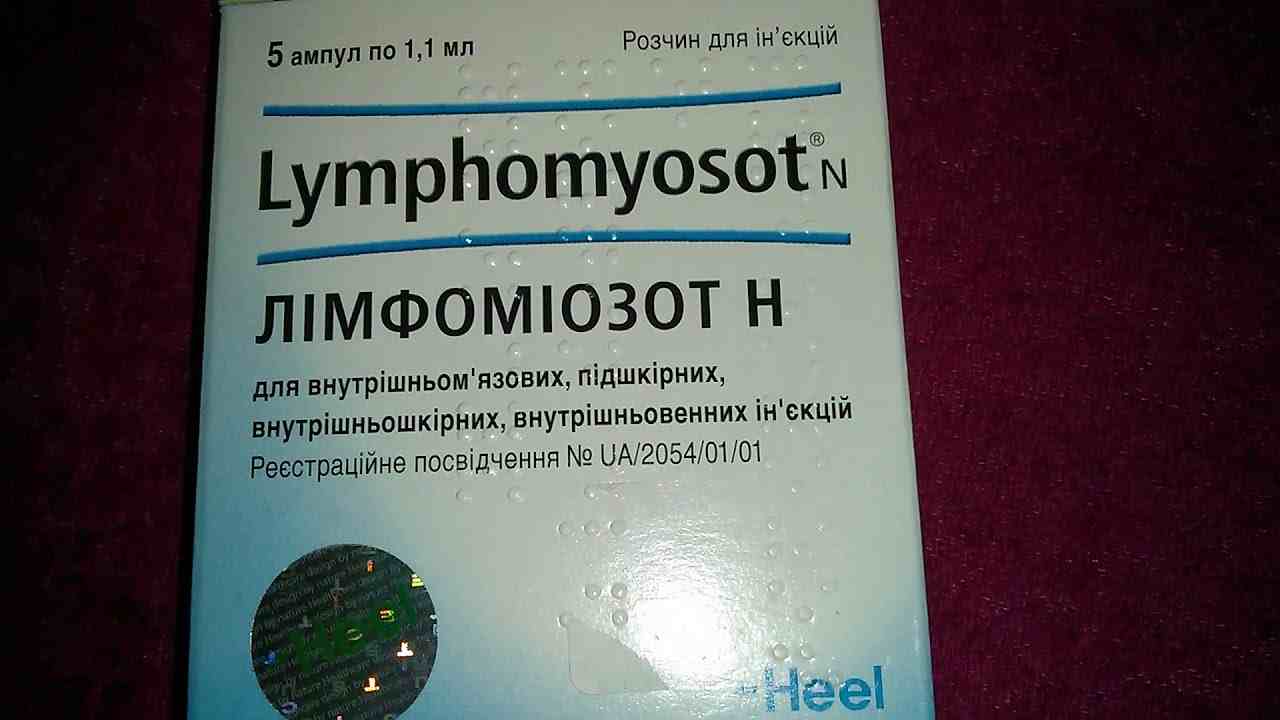 лимфомиозот инструкция по применению взрослым отзывы