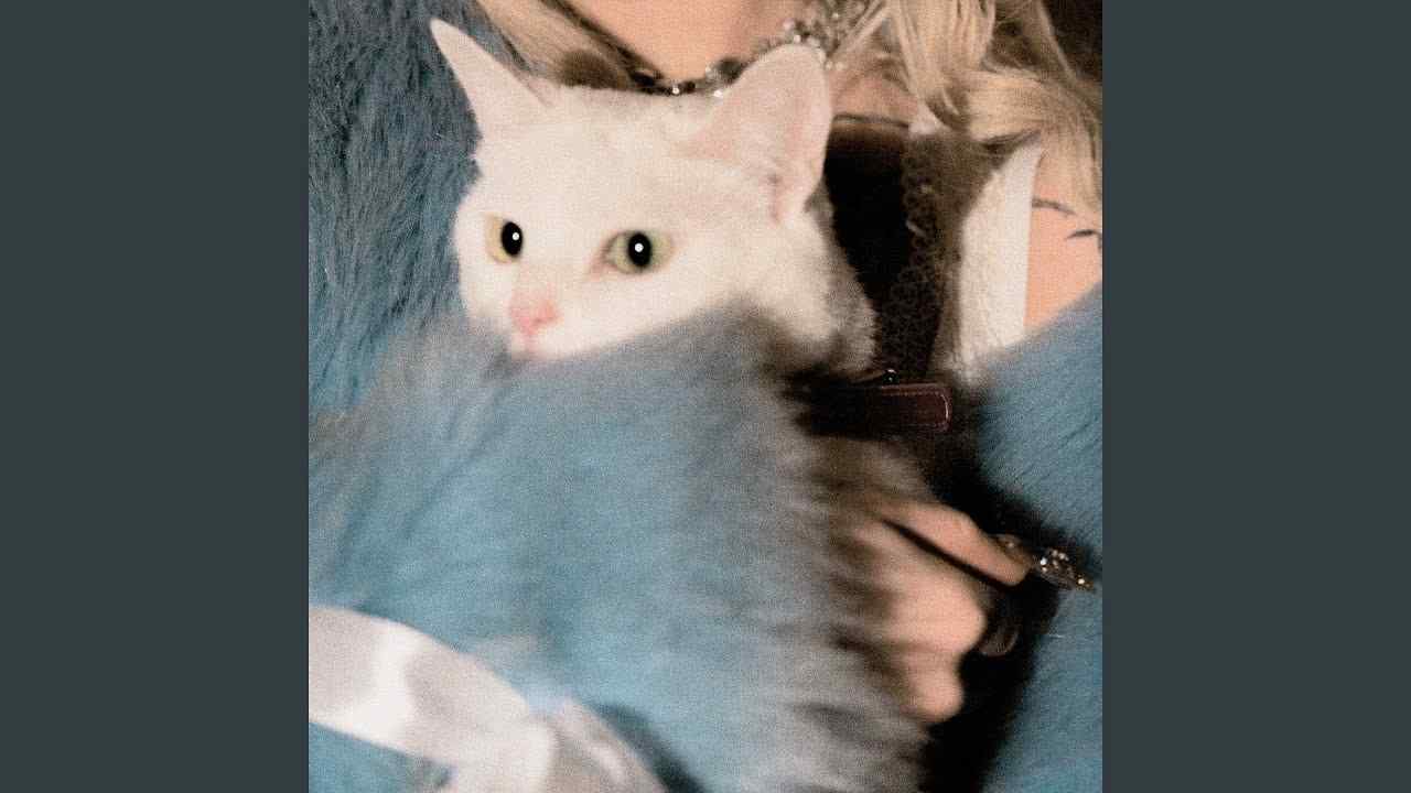 любишь не любишь как пишется