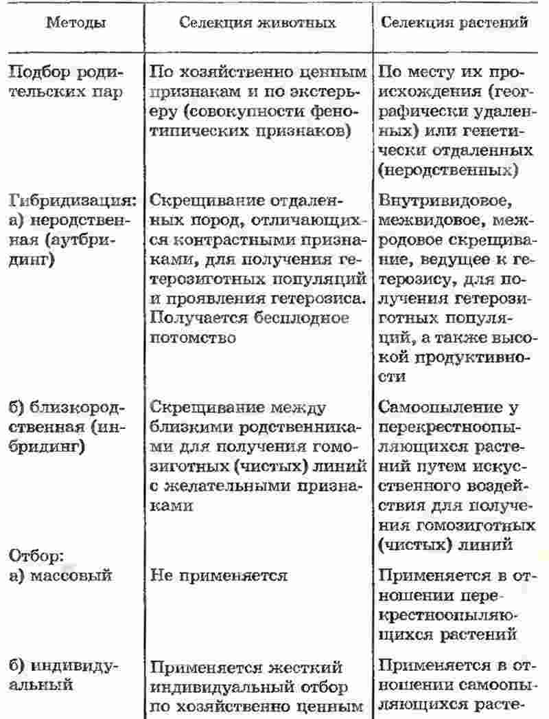 методы селекции растений и животных