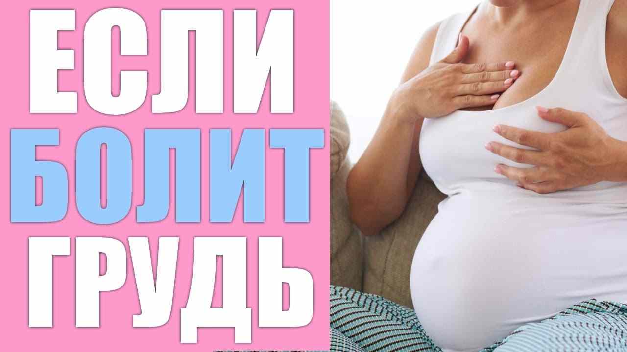 может ли болеть грудь при беременности