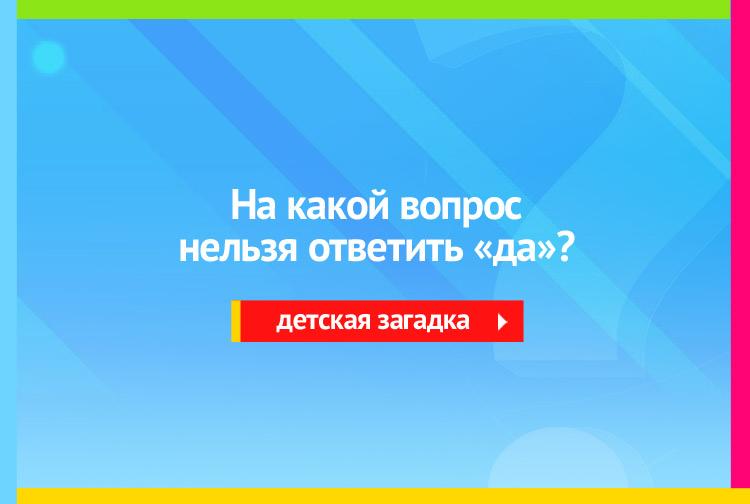 на какой вопрос нельзя ответить да