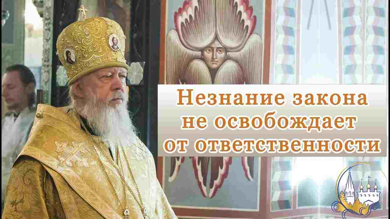 незнание закона не освобождает от ответственности