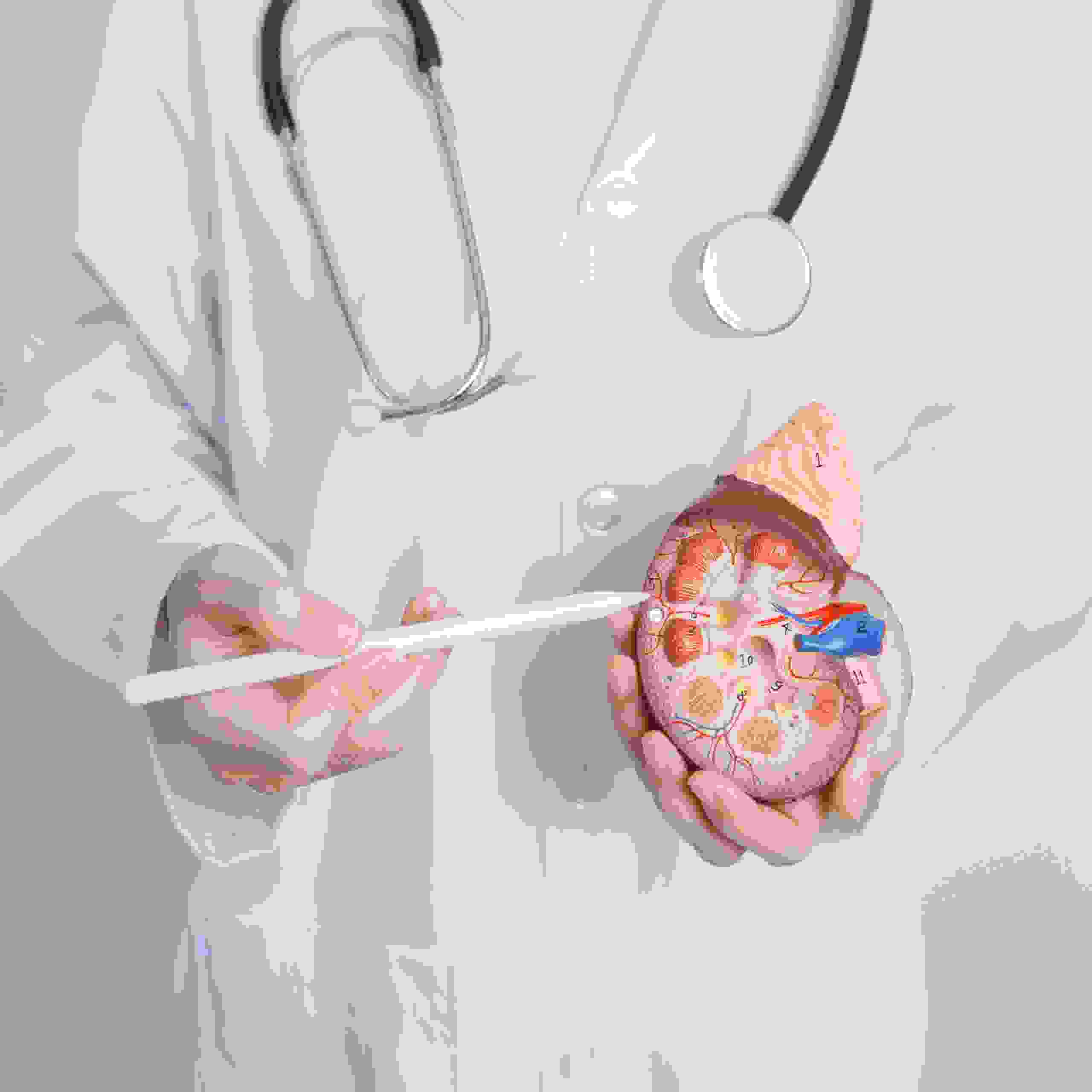 нефроптоз почек что это такое