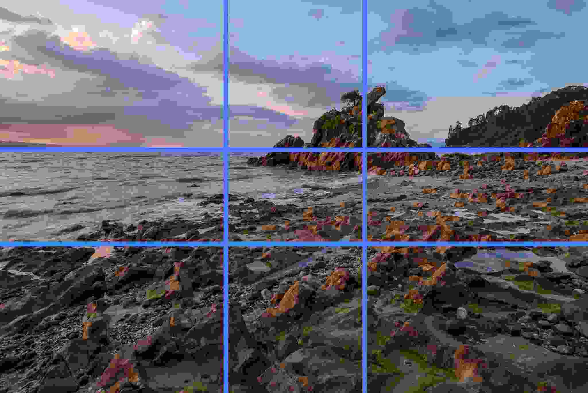 определить по фото что это такое