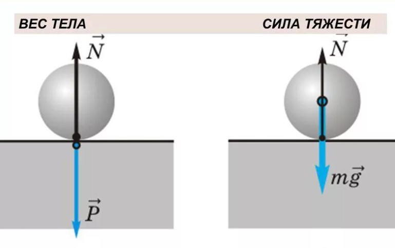 от чего зависит сила тяжести