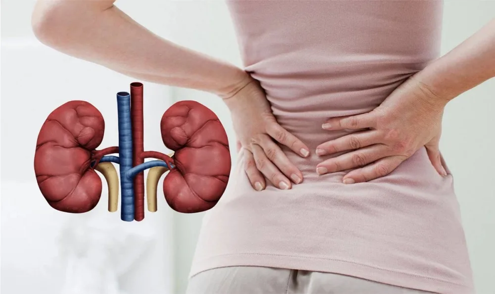 от чего могут болеть почки