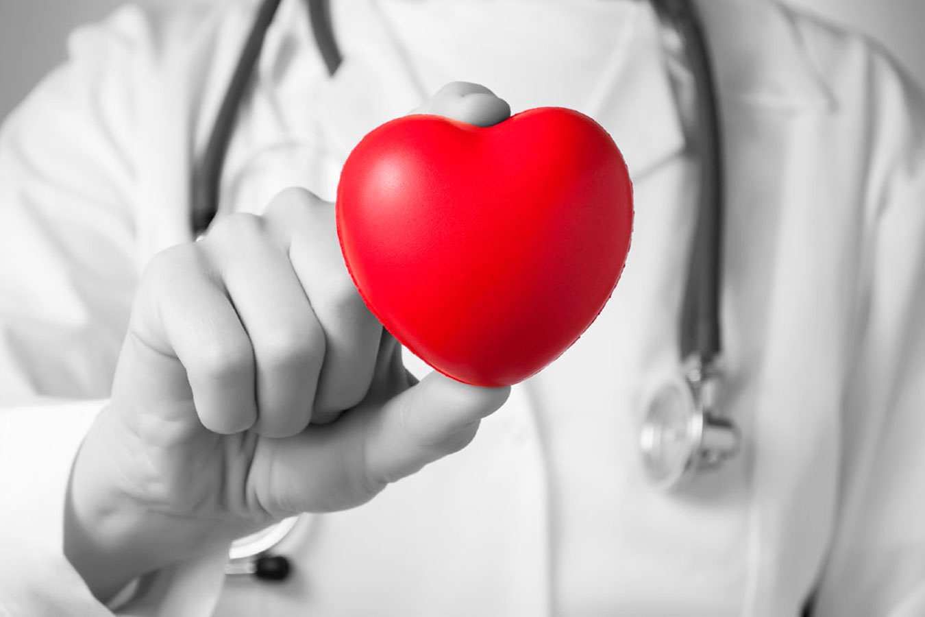 перед вами фотографии различных организмов