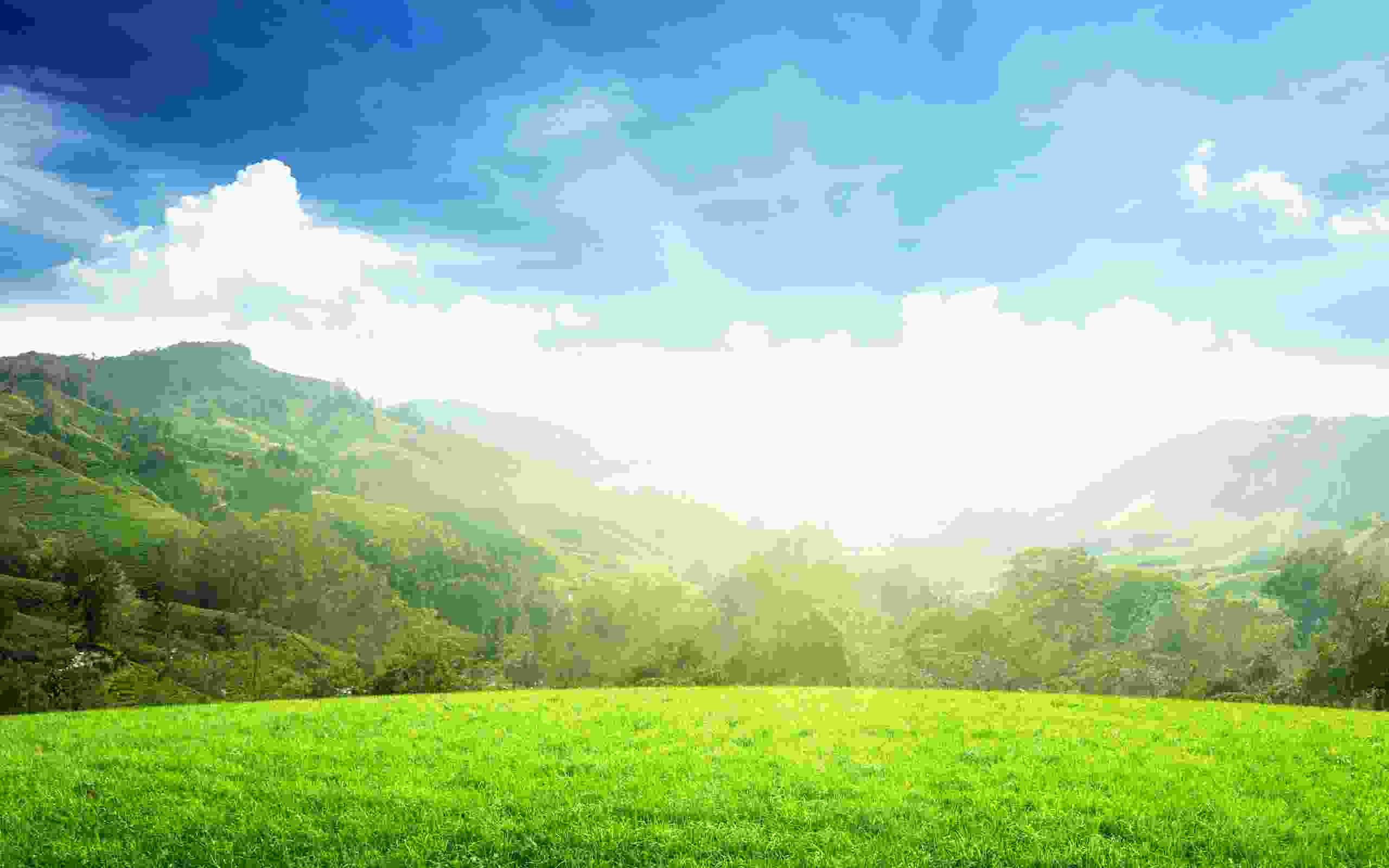 погода и климат климатический монитор