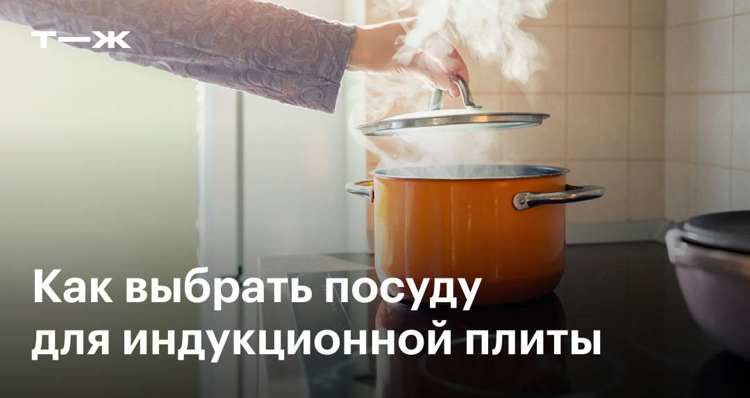 посуда для индукционной плиты отличия от обычной