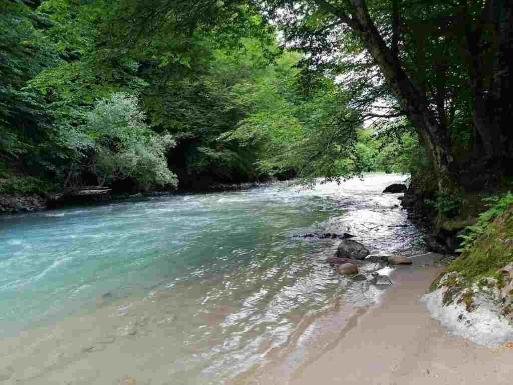 почему общение с природой важно для человека