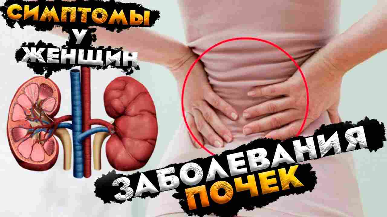 почки болят симптомы чем лечить