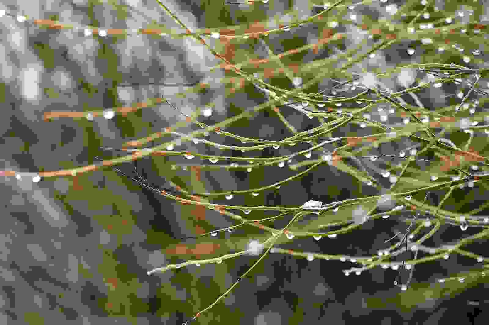 прогноз погоды на эту неделю