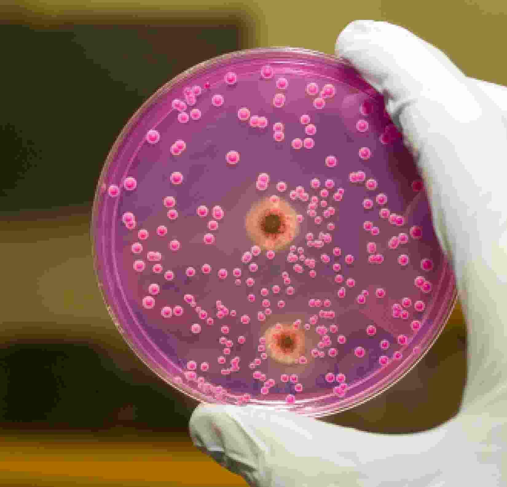 простабиотик цена инструкция по применению отзывы