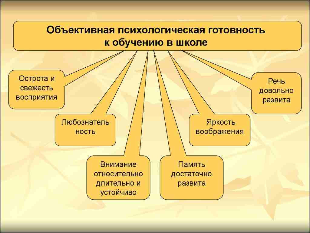 психологические особенности детей младшего школьного возраста