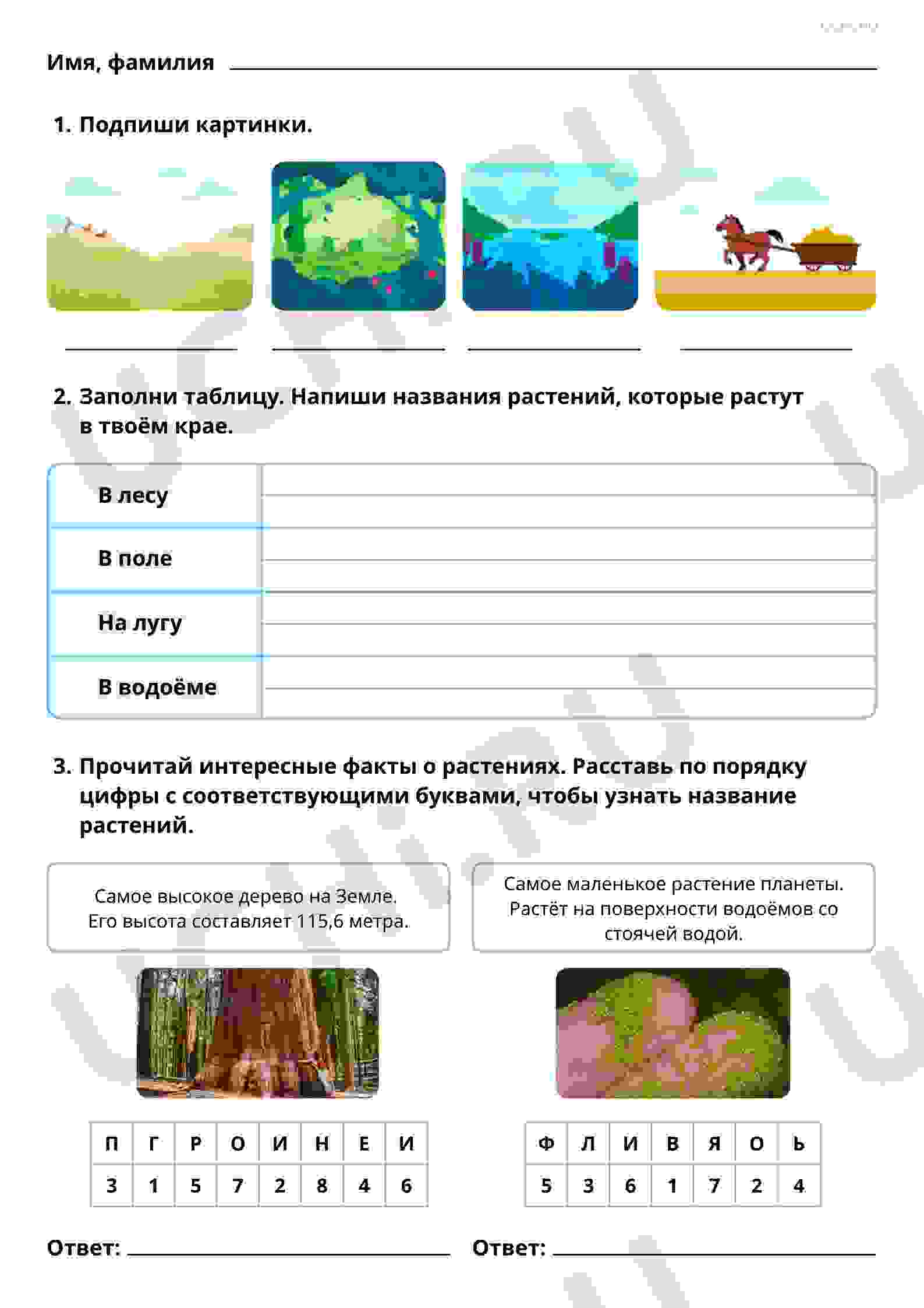 разнообразие растений узнавание называние краткое описание