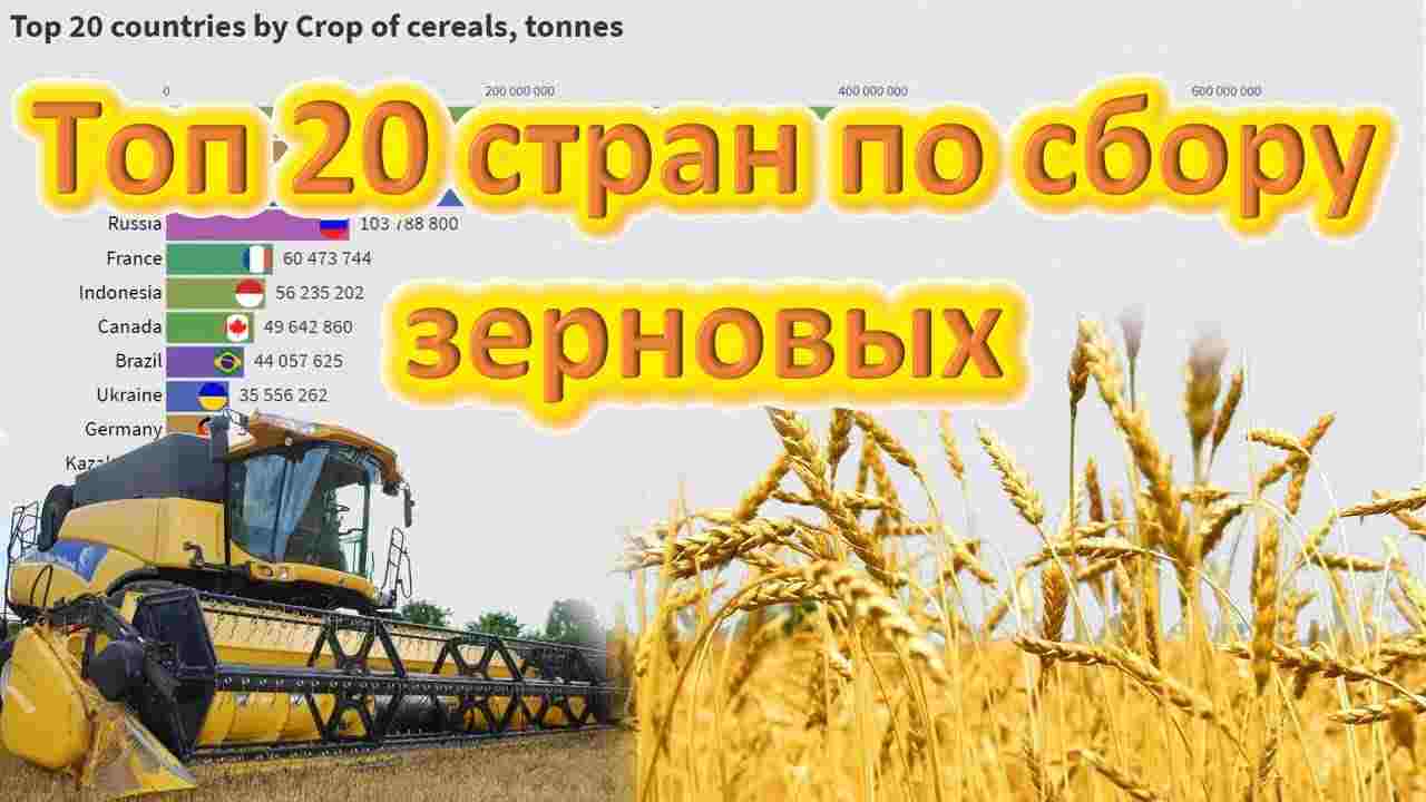 распределите страны по группам аграрно сырьевой специализации