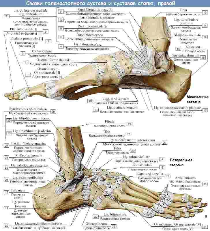 растяжение голеностопного сустава мкб 10